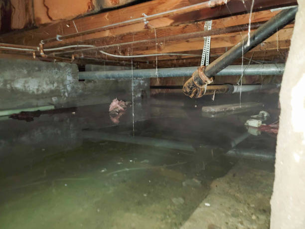  Chanhassen, MN Water damage restoration Pros