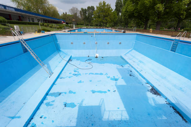 Best Mold removal after water damage  in Chanhassen, MN