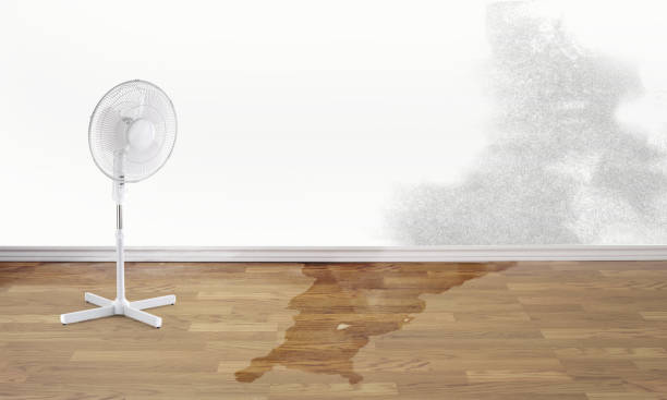 Best Water damage restoration near me  in Chanhassen, MN