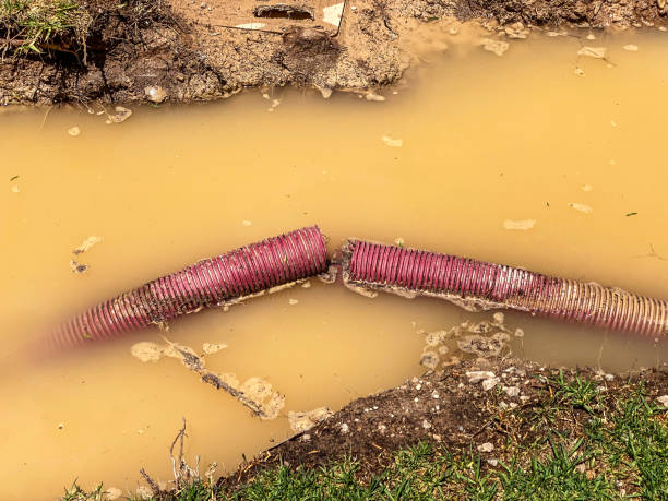 Best Flood restoration services  in Chanhassen, MN