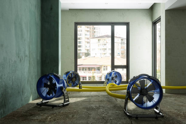 Best Water damage restoration services  in Chanhassen, MN
